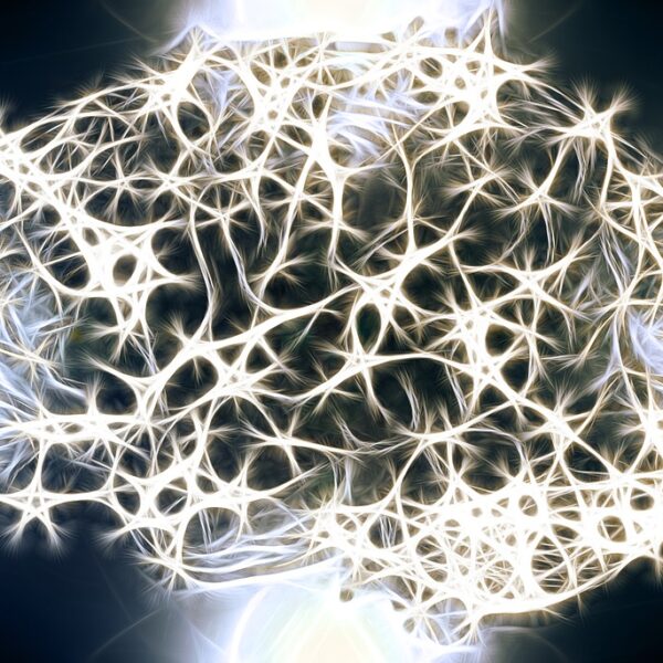 「認知症の病態を抑制」オートファジーが脳神経細胞を守る