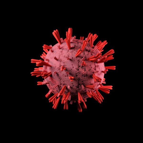新型コロナウイルス変異株　抗体量を８分で自動測定　　　　　　　　　　理研がシステム開発
