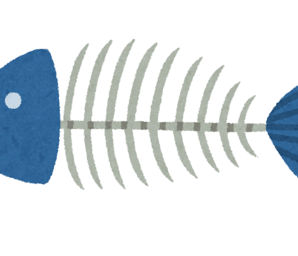 魚の首の骨「１つだけ」の可能性　埼玉大など推定