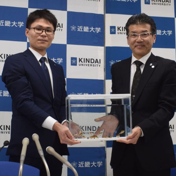 高級魚ノドグロ　近畿大が完全養殖達成