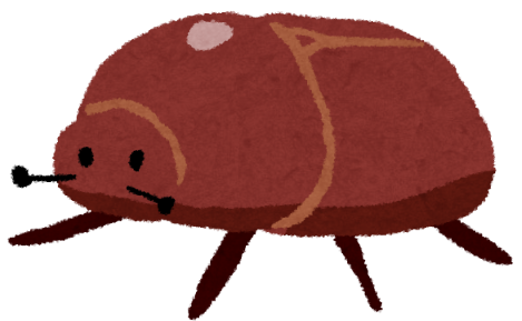 カブトムシのメス「交尾は生涯１度」